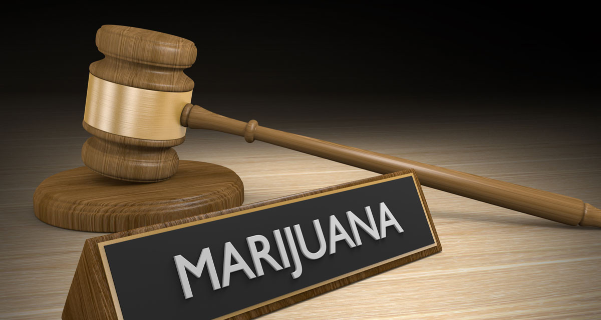 The Cannabis Conundrum